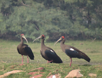 work Image